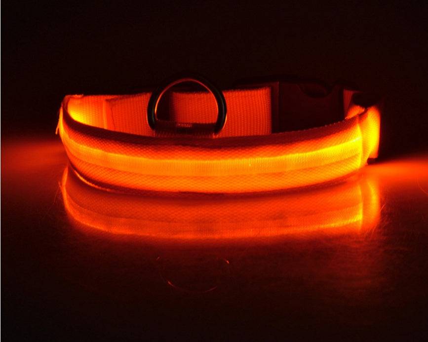 Collare luminoso per cani da compagnia a LED in nylon, sicurezza notturna, lampeggiante, guinzaglio per cani, gatti, regolabile, forniture per animali domestici