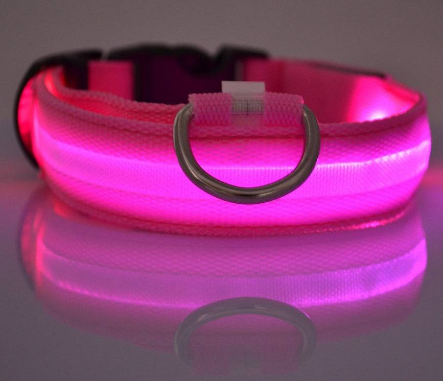 Collare luminoso per cani da compagnia a LED in nylon, sicurezza notturna, lampeggiante, guinzaglio per cani, gatti, regolabile, forniture per animali domestici