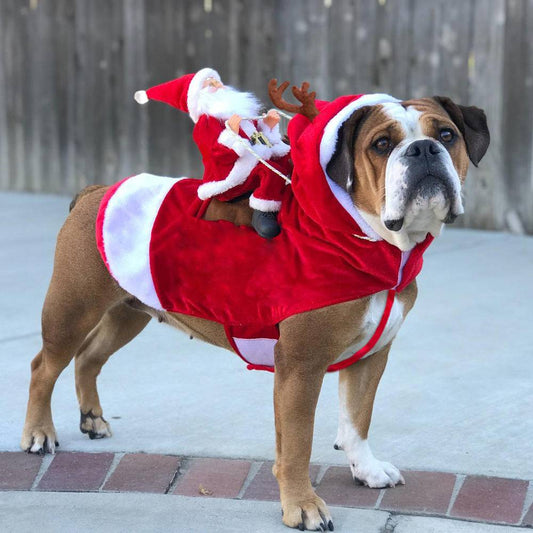 Vestiti natalizi per cani Babbo Natale che cavalca un cervo