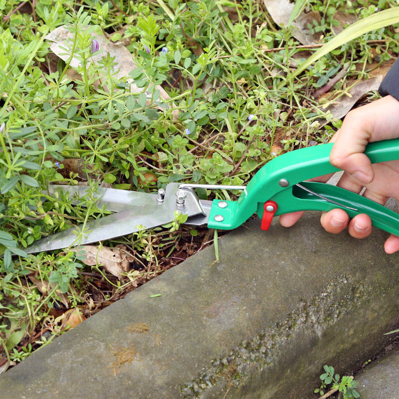 Set di attrezzi da giardinaggio da dieci pezzi