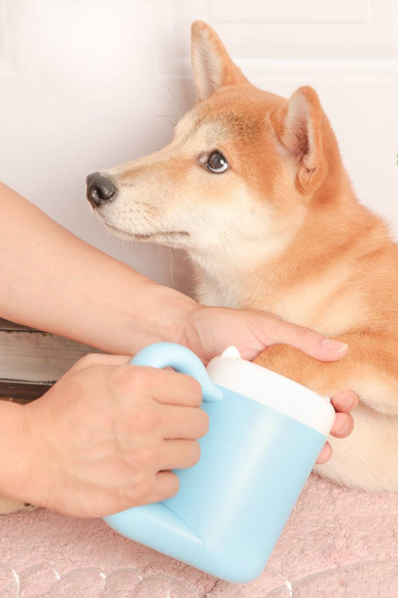 Strumento per la pulizia della tazza pulita del piede del cane del gatto dell'animale domestico Spazzola per il lavaggio della zampa in silicone