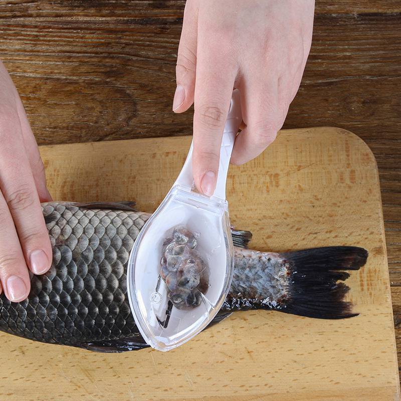 Fish Skin Brush Scraping Fish Scale Brush Grater Quick Disassembly Fish Knife Cleaning Peeling Skin Scraper Scraper Fish Scaler Kitchen Tools - YLORESHOP