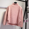 Turtleneck Pullover Long-Sleeved Sweater - YLORESHOP