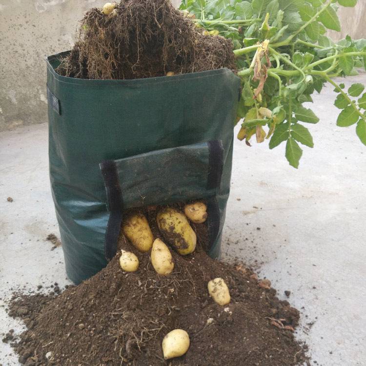 Borsa per piante da giardino in tessuto PE