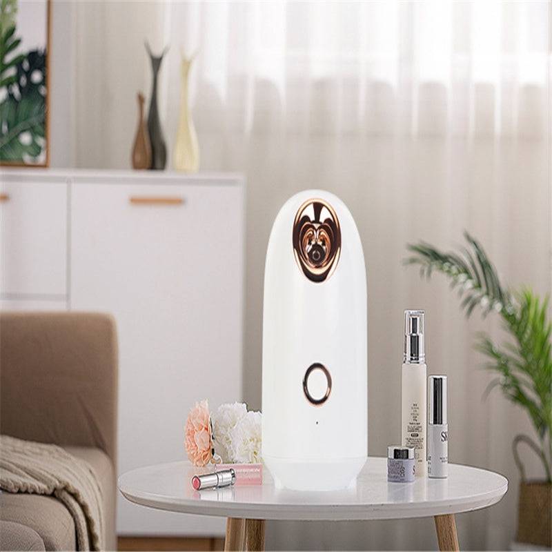 Beauty Steamer - YLORESHOP