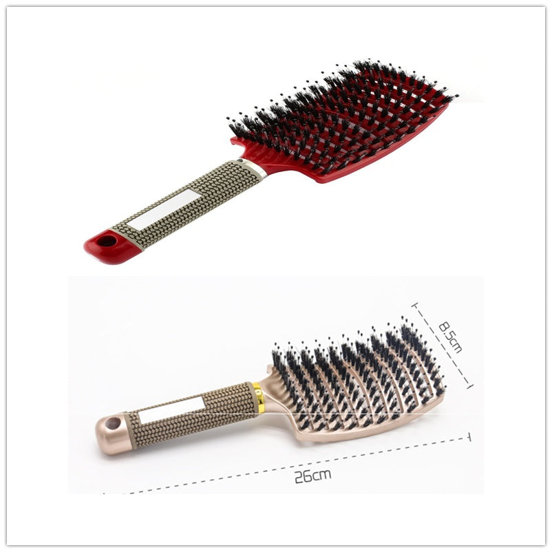 Hairbrush Anti Klit Brushy Haarborstel Women Detangler Hair Brush Bristle Nylon Scalp Massage  Teaser Hair Brush Comb - YLORESHOP