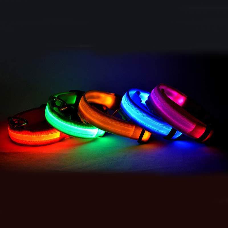 Collare luminoso per cani da compagnia a LED in nylon, sicurezza notturna, lampeggiante, guinzaglio per cani, gatti, regolabile, forniture per animali domestici