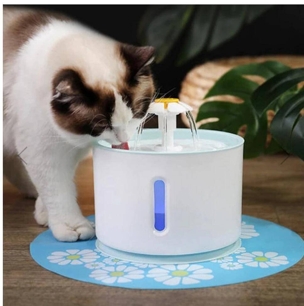 Fontana automatica per gatti per animali domestici con illuminazione a LED Dispenser per bevande con ciotola per abbeveratoio muto per cani e gatti USB