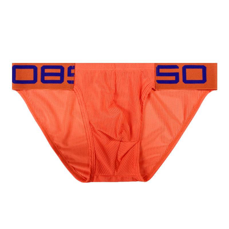 Men's Triangle Underwear Nylon Mesh - YLORESHOP