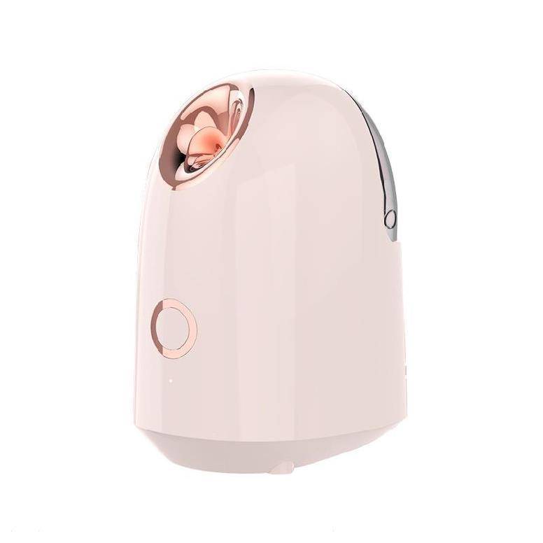 Beauty Steamer - YLORESHOP