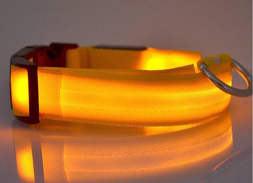 Collare luminoso per cani da compagnia a LED in nylon, sicurezza notturna, lampeggiante, guinzaglio per cani, gatti, regolabile, forniture per animali domestici