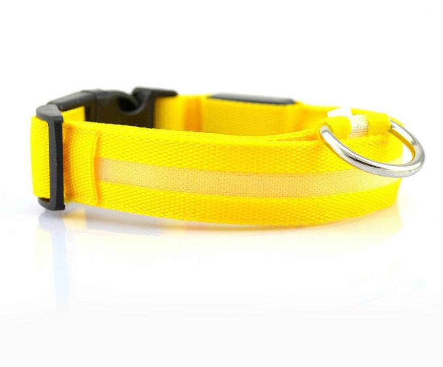 Collare luminoso per cani da compagnia a LED in nylon, sicurezza notturna, lampeggiante, guinzaglio per cani, gatti, regolabile, forniture per animali domestici