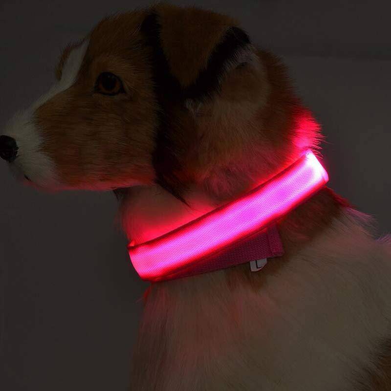 Collare luminoso per cani da compagnia a LED in nylon, sicurezza notturna, lampeggiante, guinzaglio per cani, gatti, regolabile, forniture per animali domestici