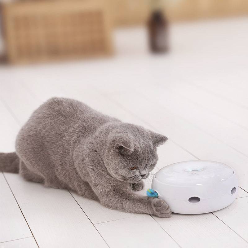 Giradischi automatico intelligente e divertente con ciambella per gatti giocattolo elettrico per gatti