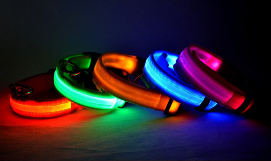 Collare luminoso per cani da compagnia a LED in nylon, sicurezza notturna, lampeggiante, guinzaglio per cani, gatti, regolabile, forniture per animali domestici