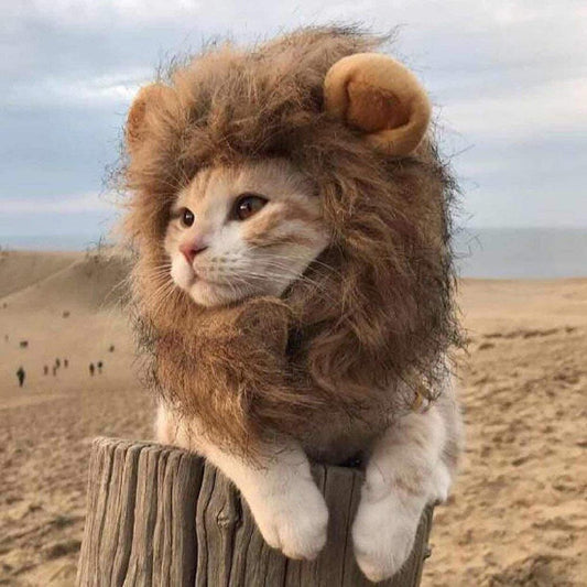 Cat lion headgear pet - YLORESHOP