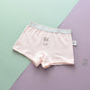 Children's underwear cotton girls' underwear - YLORESHOP