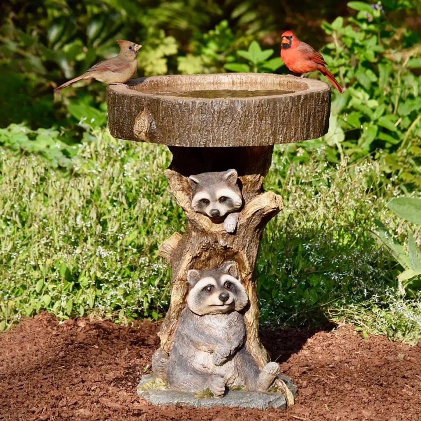 Decorazione del giardino Ornamenti in resina di procione Ornamenti per bere uccelli da giardinaggio artigianali