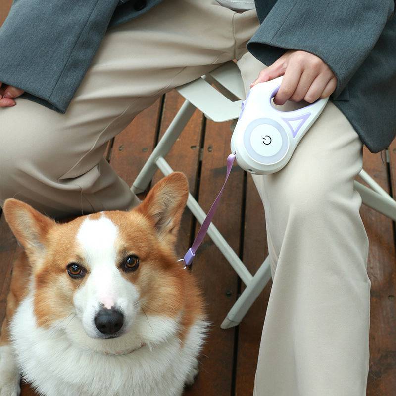 Guinzaglio per cani Guinzaglio retrattile e collare per cani Riflettore Corda di trazione automatica per cani da compagnia per cani di piccola taglia Prodotto per animali domestici