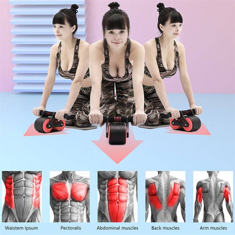 Double Wheel Abdominal Exerciser Women Men Automatic Rebound Ab Wheel Roller Waist Trainer Gym Sports Home Exercise Devices - YLORESHOP