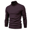 Maglione dolcevita slim fit da uomo, tinta unita, abbigliamento casual invernale