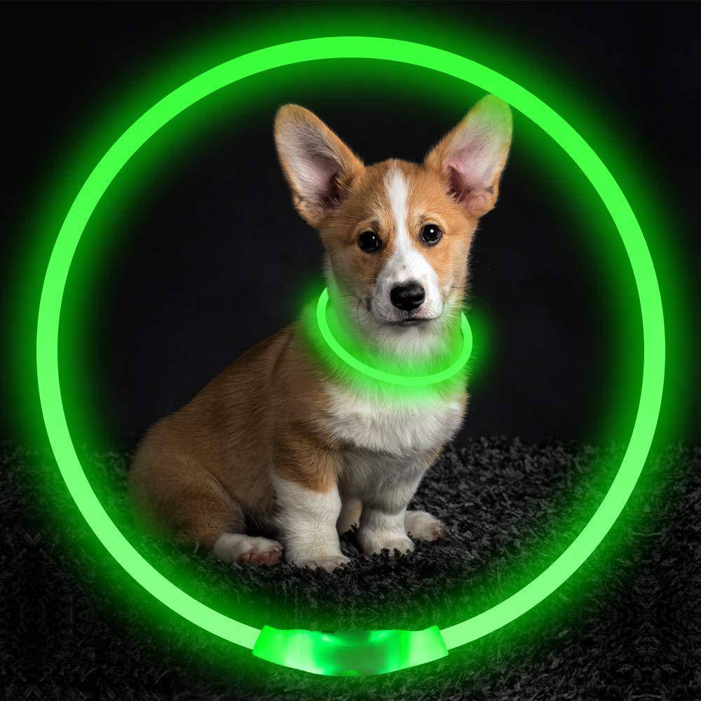 Collare lampeggiante per animali domestici Collare di sicurezza ricaricabile tramite USB Collana luminosa Collari illuminati per collare per cani elettrico per passeggiate notturne al neon