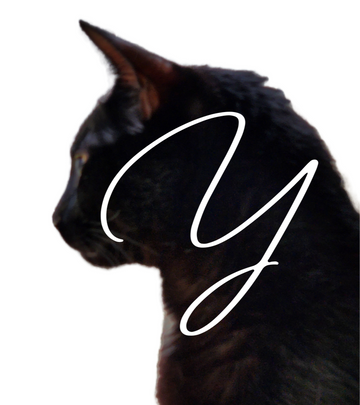 Le nostre <em>radici</em>