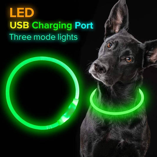 Collare lampeggiante per animali domestici Collare di sicurezza ricaricabile tramite USB Collana luminosa Collari illuminati per collare per cani elettrico per passeggiate notturne al neon