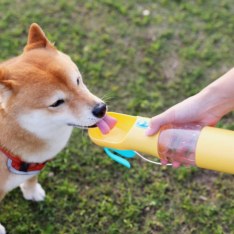 Gli animali domestici escono con una tazza portatile per l'alimentazione e l'acqua