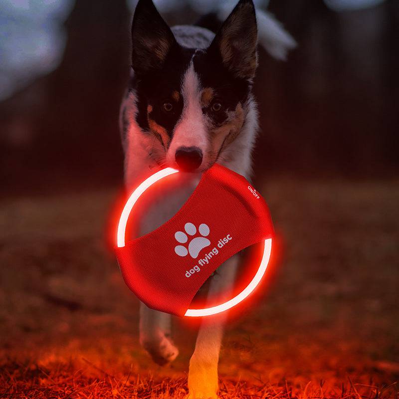 Dischi volanti per cani Luce incandescente LED LuminosoTrainning Giocattoli interattivi Gioco Dischi volanti Giocattolo per cani Accessori per cani Prodotti per animali domestici