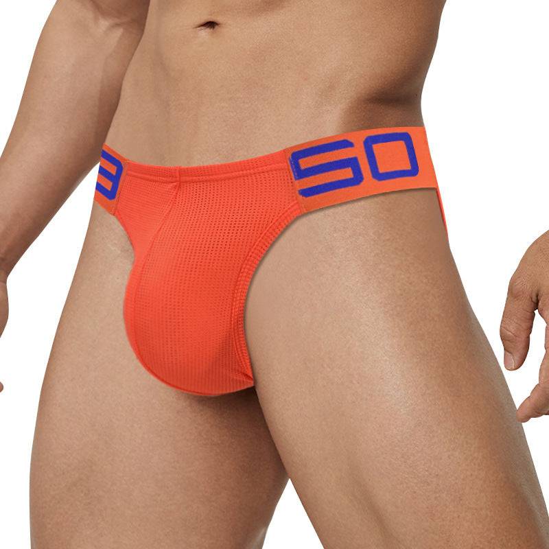 Men's Triangle Underwear Nylon Mesh - YLORESHOP