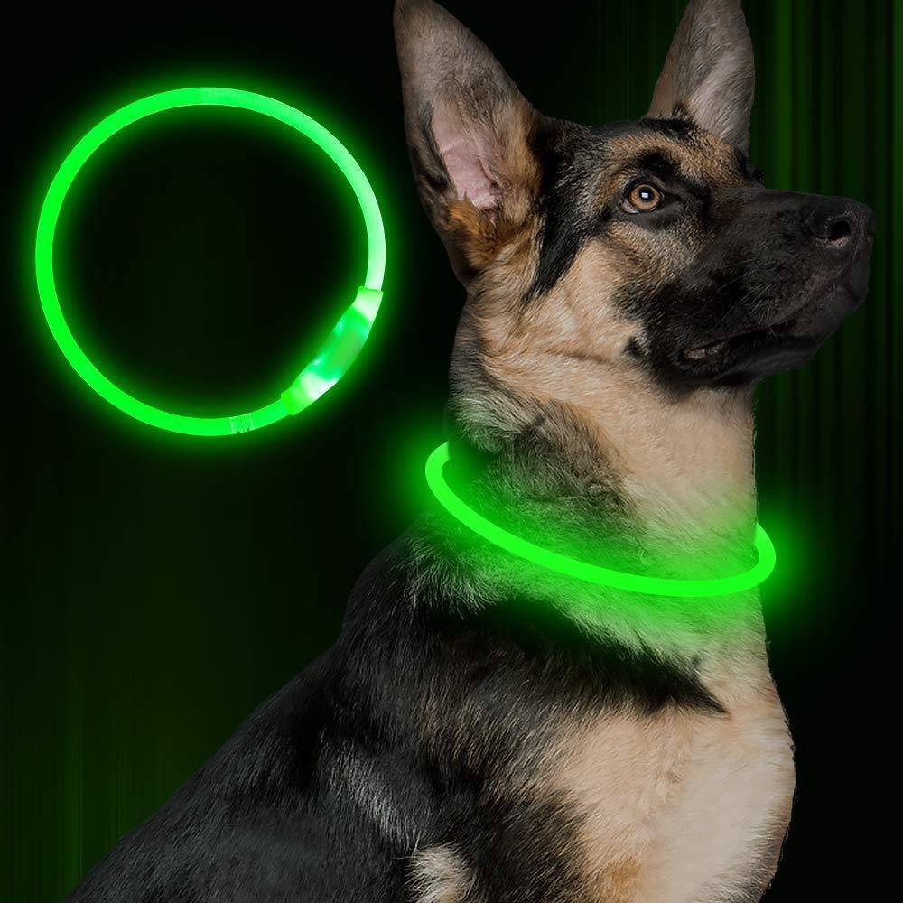 Collare lampeggiante per animali domestici Collare di sicurezza ricaricabile tramite USB Collana luminosa Collari illuminati per collare per cani elettrico per passeggiate notturne al neon