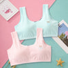 Primary Student Vest Female Junior High  Girl High School  Underwear Pure Cotton Bra - YLORESHOP