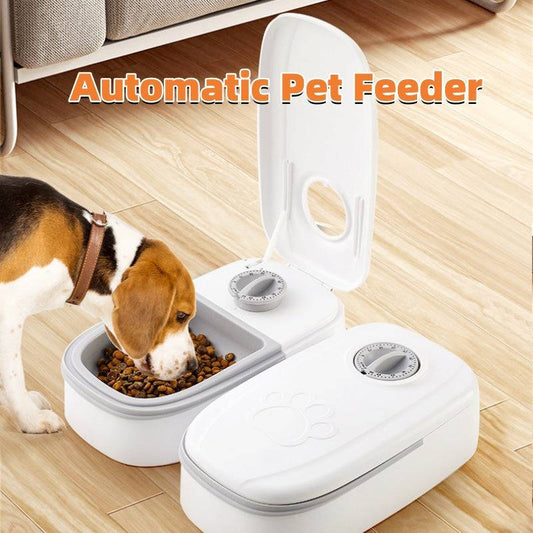 Distributore automatico di alimenti per animali domestici intelligente per gatti Cani Timer Ciotola in acciaio inossidabile Auto per cani Gatti Alimentazione per animali domestici Forniture per animali domestici