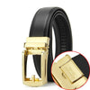 Two-layer Cowhide Fake Needle Automatic Buckle Men's Special Belt - YLORESHOP