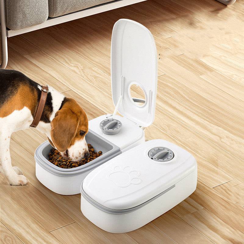 Distributore automatico di alimenti per animali domestici intelligente per gatti Cani Timer Ciotola in acciaio inossidabile Auto per cani Gatti Alimentazione per animali domestici Forniture per animali domestici